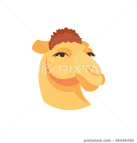 Camel head vector Camel head vector 46046498