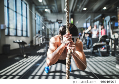 Fit young man in gym working out with climbing rope. 46046501