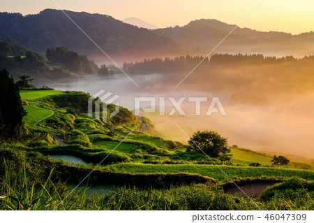 Terraced rice terrace (morning view) 46047309