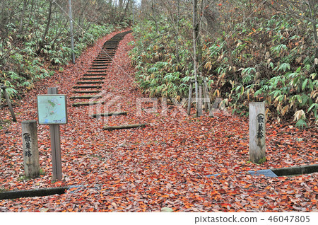 金澤Yuonsen溫泉步行道 46047805