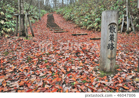 金澤Yuonsen溫泉步行道 46047806