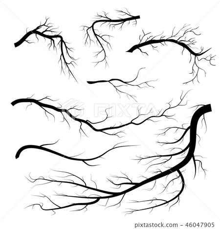 Set of dry twigs, on white background. Set of dry twigs, on white background. 46047905