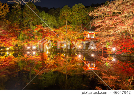 Lights up autumn bento Lights up autumn bento 46047942