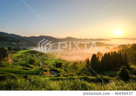 梯田(早晨) 梯田(早晨) 46048437