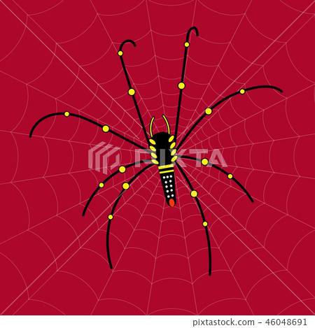 Black Spider with colourful pattern on itself. Black Spider with colourful pattern on itself. 46048691