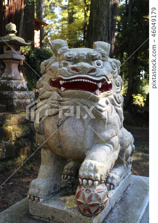 三島神社(Kimitsu市)的Shiba Inu 三島神社(Kimitsu市)的Shiba Inu 46049179