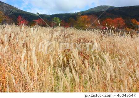 Kita Yatsugatake Suki和秋葉 Kita Yatsugatake Suki和秋葉 46049547