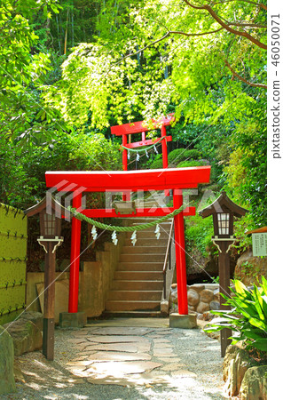 覆蓋福井稻荷的藍楓 覆蓋福井稻荷的藍楓 46050071