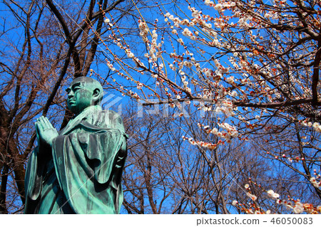 Collaboration of the belfry and twig plums 46050083