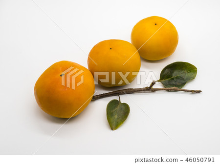 Persimmon Persimmon 46050791