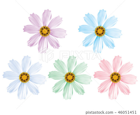 Daisy flowers set isolated. Vector 3d illustration 46051451