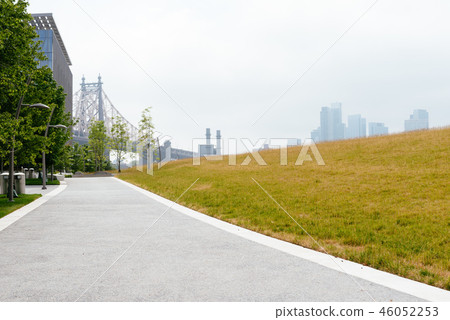 Meadow in Roosevelt Island in New York City Meadow in Roosevelt Island in New York City 46052253