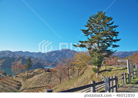 Scenery seen from Torii wild land Miyakase lake and colored leaves 46052850