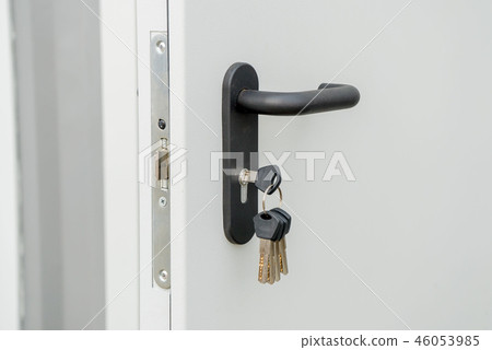 Light entrance door with the handl 46053985