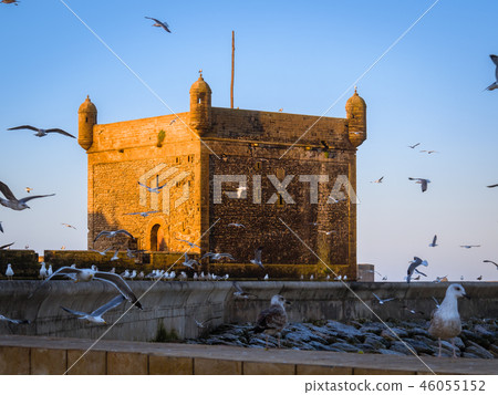 Morning in the fishing port of Essaouira 46055152