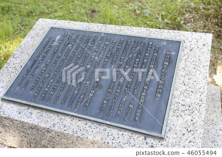 熊本城九州 46055494