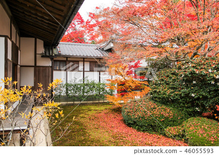 Genko通行證秋葉，充分庭院秋葉 46055593