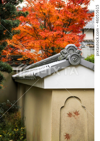 Genko通行證秋葉的樣式，Tsukiji通行證秋葉 46055615