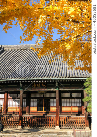 Honryu-ji寺廟的秋天，主要銀杏樹的黃色葉子和主要大廳 46055681
