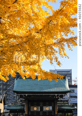 Honryu-ji寺廟,黃色葉子和山門的秋天 Honryu-ji寺廟,黃色葉子和山門的秋天 46055682