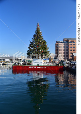 Taking a picture of a Christmas fantasy Christmas tree landscape in the sunny Hakodate Bay area of Hokkaido 46058765