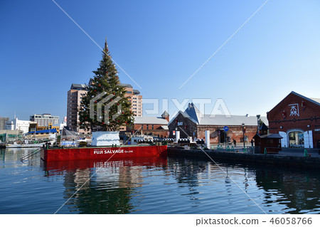Taking a picture of a Christmas fantasy Christmas tree landscape in the sunny Hakodate Bay area of Hokkaido Taking a picture of a Christmas fantasy Christmas tree landscape in the sunny Hakodate Bay area of Hokkaido 46058766
