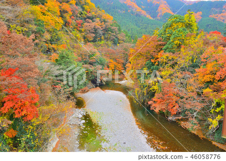 Autumn leaves in Akikawa Valley, Tokyo Autumn leaves in Akikawa Valley, Tokyo 46058776