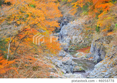 秋葉在Akikawa谷，東京 46058778