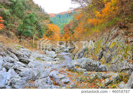 Autumn leaves in Akikawa Valley, Tokyo 46058787