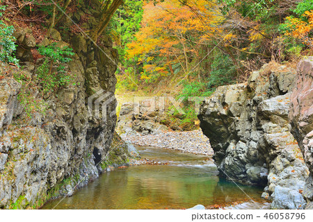 Autumn leaves in Akikawa Valley, Tokyo Autumn leaves in Akikawa Valley, Tokyo 46058796