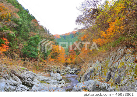 秋葉在Akikawa谷，東京 46058801