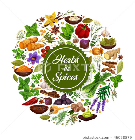 Herbs and species icon with seasoning for cooking Herbs and species icon with seasoning for cooking 46058879
