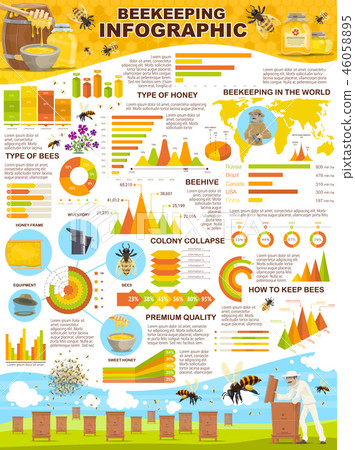 Beekeeping industry infographic poster for apiary Beekeeping industry infographic poster for apiary 46058895