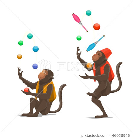 Circus show trained monkeys juggling balls, maces 46058946