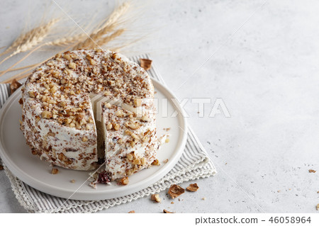 Homemade goat cheese with walnuts and cranberries Homemade goat cheese with walnuts and cranberries 46058964