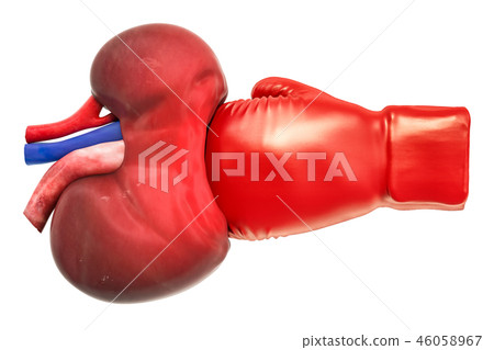 Pain in kidneys, chronic kidney disease concept 46058967