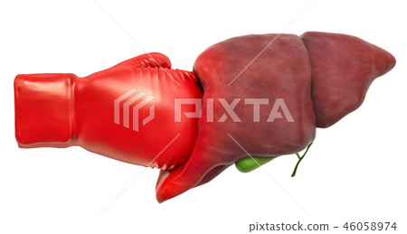 Pain in liver, liver disease concept. Human liver Pain in liver, liver disease concept. Human liver 46058974