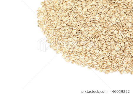 Germinated oats 46059232