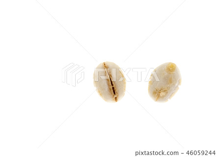 Germinated oats 46059244