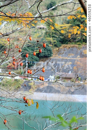 深秋湖Naguri（埼玉縣飯能市） 46059258