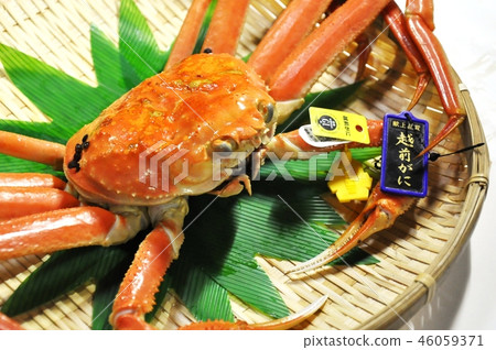 越前3 越前3 46059371