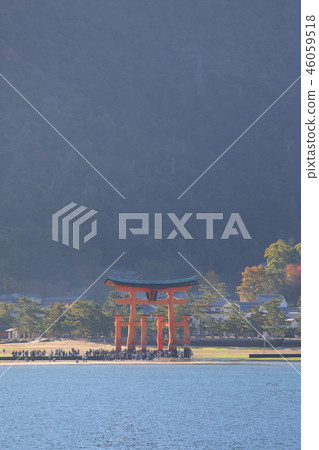 Otori at Itsukushima shrine 46059518