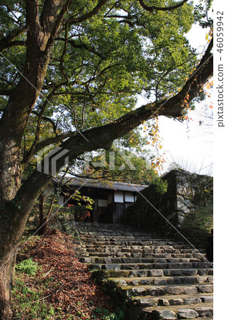 秋天秋天月亮風景在Akizuki城堡附近廢墟弄髒了在秋葉的紅色 秋天秋天月亮風景在Akizuki城堡附近廢墟弄髒了在秋葉的紅色 46059942