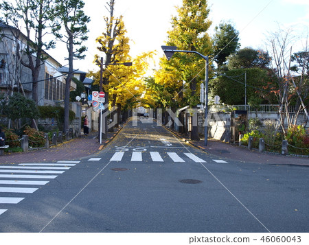 Denen-chofu站前 46060043