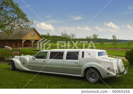 Light limousine in the meadow; Light limousine in the meadow; 46060268