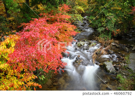 秋天的花園谷 46060792