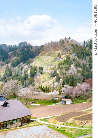 Spring Shinshu Ogawa 46061199