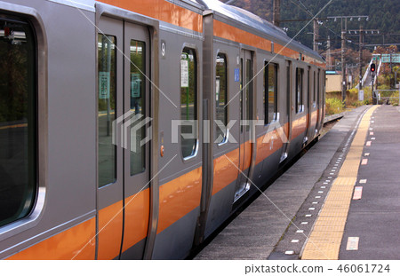 Down train waiting for up train for misunderstanding at Ome Line Gyoen Station 46061724