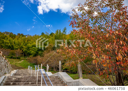 八幡公園豐臣Shujiikan廢墟的入口 46061738