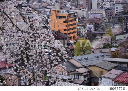 Takayama, Gifu Prefecture, Japan During the spring Takayama Festival Takayama urban area seen from Shiroyama Park Nakahashi, private house and cherry blossoms in full bloom 46062728